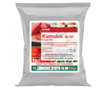 Product shot - Kumulus