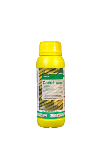 Cadre 300ml