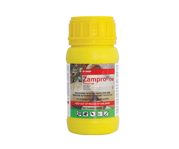 Zampro