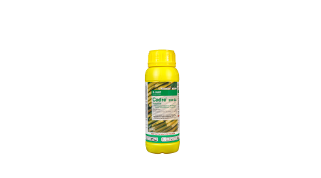 Cadre 300ml