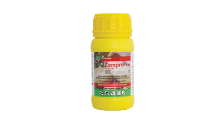Zampro