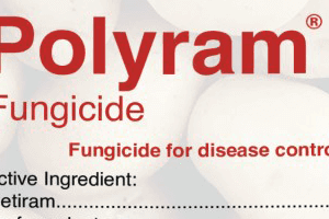 df basf protection crop fungicide ph